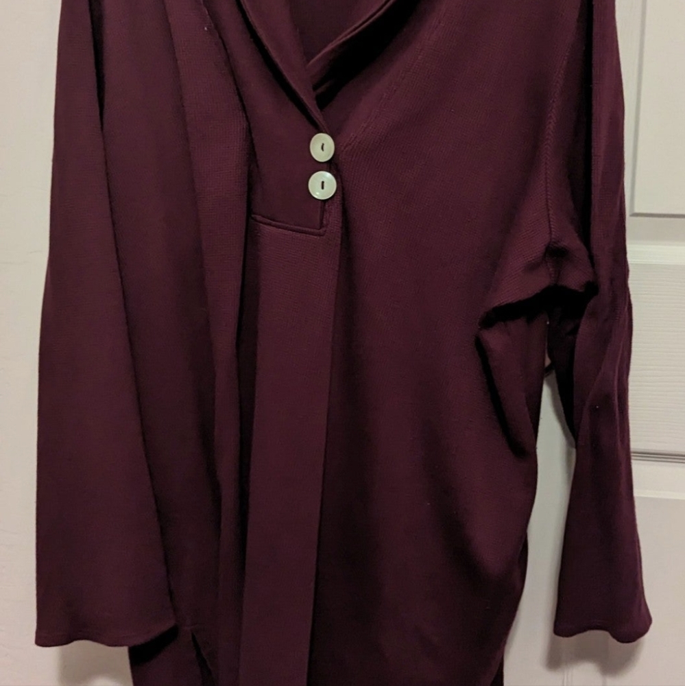 Beautiful Shawl Collared Tunic - Picture 4 of 4
